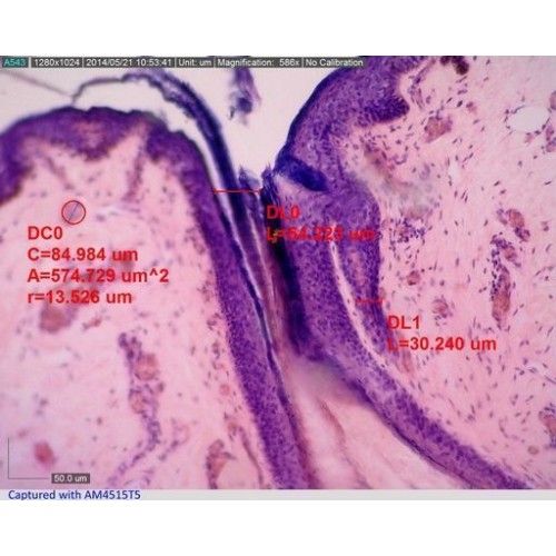 1-t5-t8 Copy-500x500
