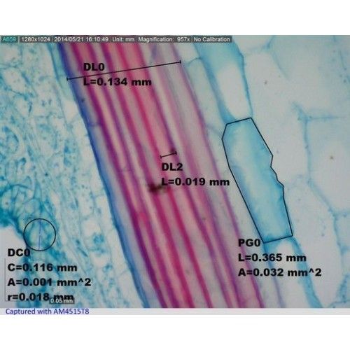 6-t5-t8 Copy-500x500