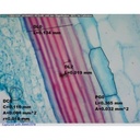 6-t5-t8 Copy-500x500