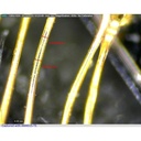 AM4515T5_example-500x500