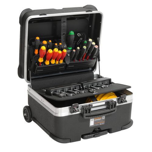 Rock-Turtle-PSS-open-with-Tools_8995