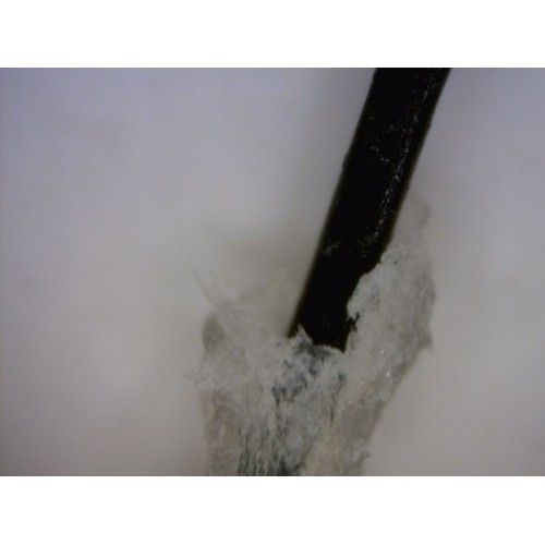 trichoscope-2 1 Copy Copy-500x500
