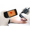 Dermatology_51-500x500