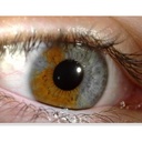 iriscope-1-500x500