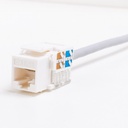 netrack-keystone-module-jack-rj45-utp-cat-5e-with-clamp-white (2)