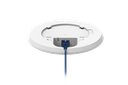 TAP200_4