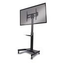 Single Display Mount Trolley Stand, Black