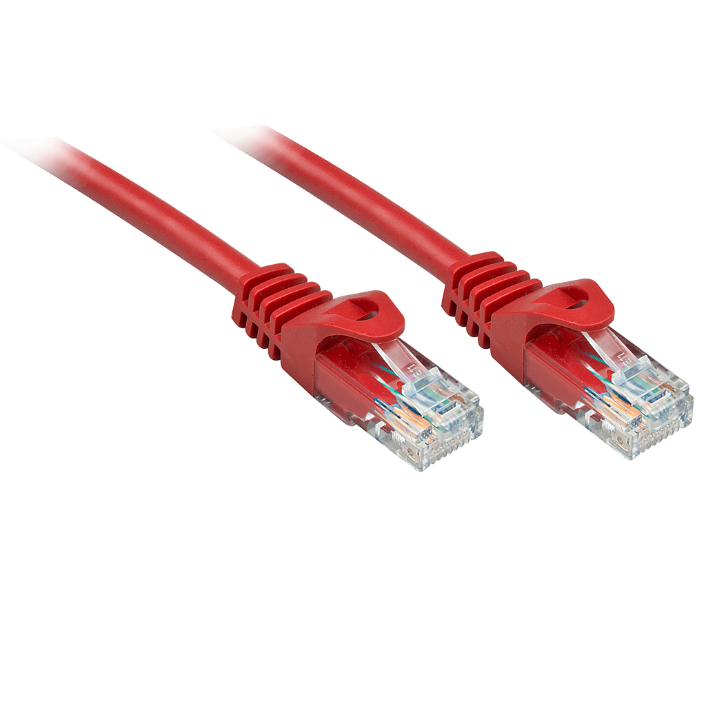 Võrgukaabel Cat6 UTP 0.5m, punane
