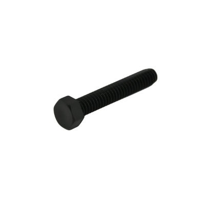 Minelab 1/4 inch otsimispooli polt pikkusega 2 inch (31-40832-922), varuosa