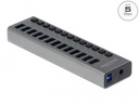 Delock External USB 3.0 Hub with 13 Ports + Switch