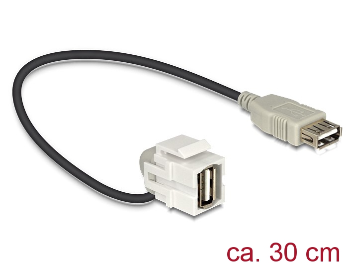 [86327] Delock Keystone module USB 2.0 A female > USB 2.0 A female 110° with cable