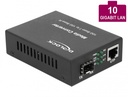 Delock Media Converter 10GBase-R SFP+ to 10GBase-T RJ45