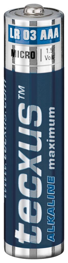 [23817] Patarei Alkaline manganese AAA tecxus LR03