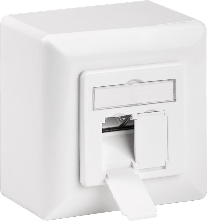 [68572] CAT 6a universal wall plate inc. on-wall mounting frame, white, 2x RJ45 shielded